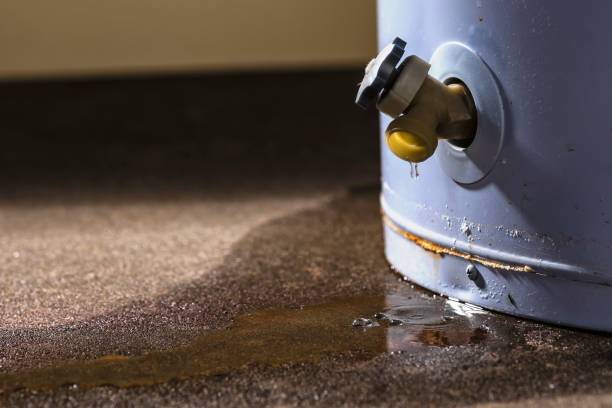 Best Flood restoration services  in Salem, OH