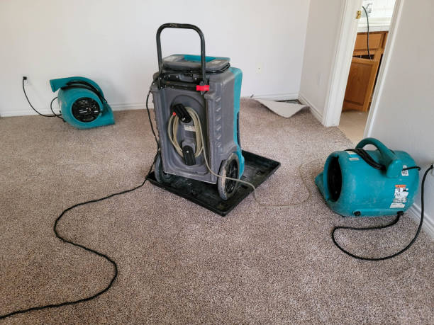 Best Flood damage cleanup  in Salem, OH