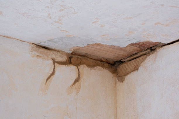 Best Fire Damage Restoration  in Salem, OH