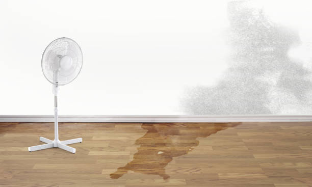 Salem, OH Water damage restoration Company