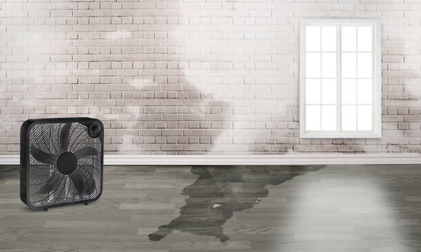 Water damage restoration process in Salem, OH