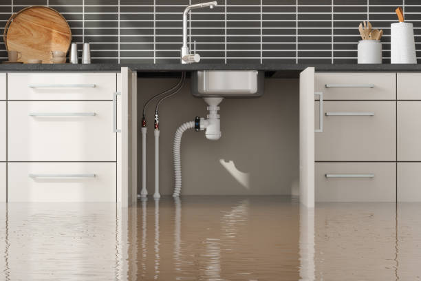 Best Sewage cleanup and water damage restoration  in Salem, OH