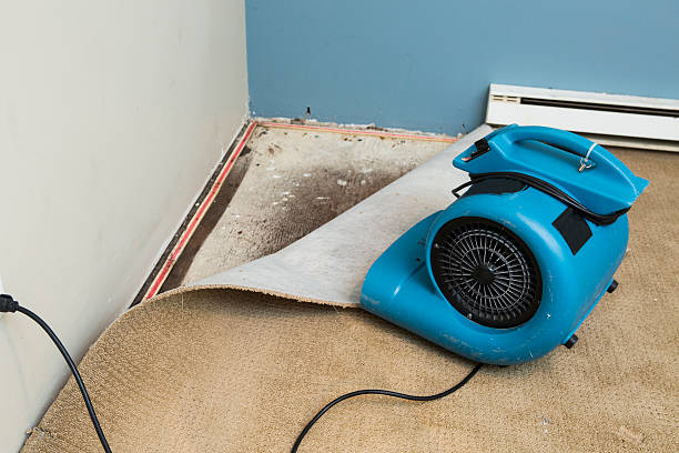 Best Water damage restoration insurance claims  in Salem, OH